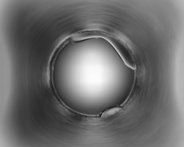 X0000099561076200805231508