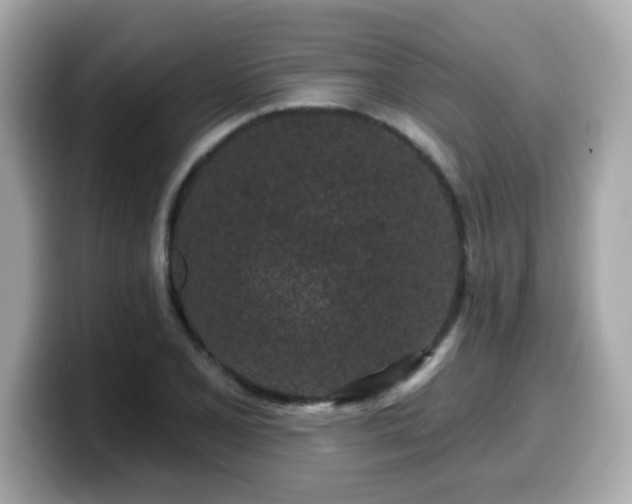 X0000099561077200805231508