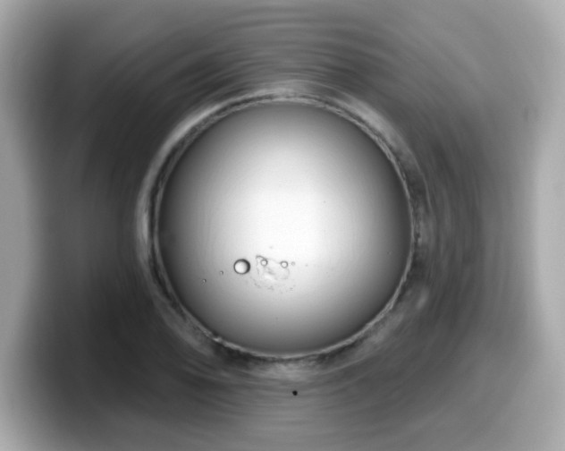 X0000099561078200805231508