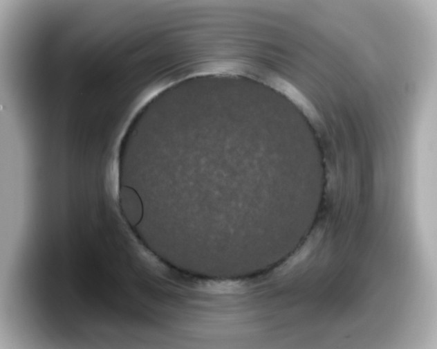 X0000099561079200805231508