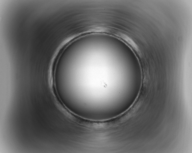 X0000099561080200805231508