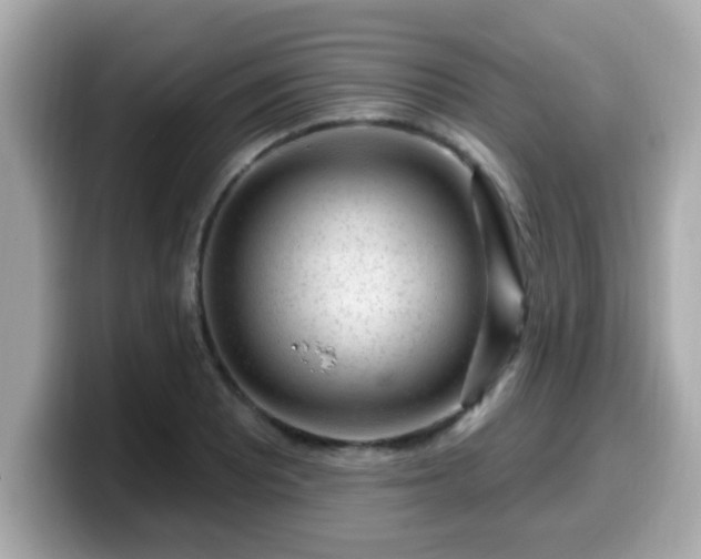 X0000099561081200805231508