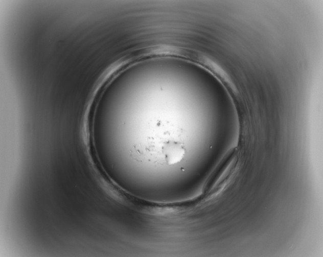 X0000099561082200805231508