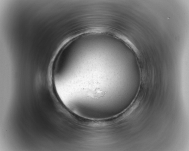 X0000099561083200805231507