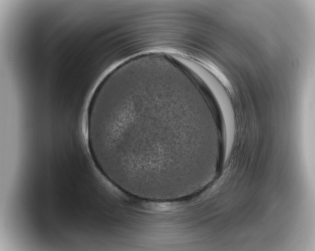 X0000099561084200805231507