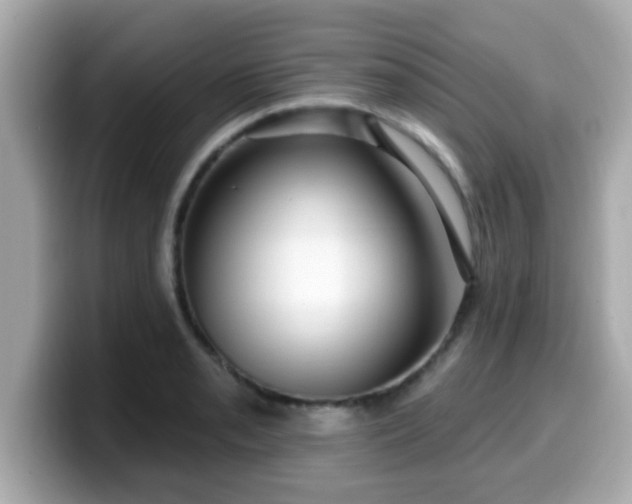 X0000099561085200805231507