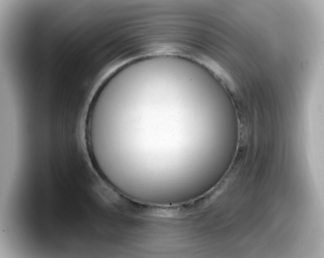 X0000099561086200805231507