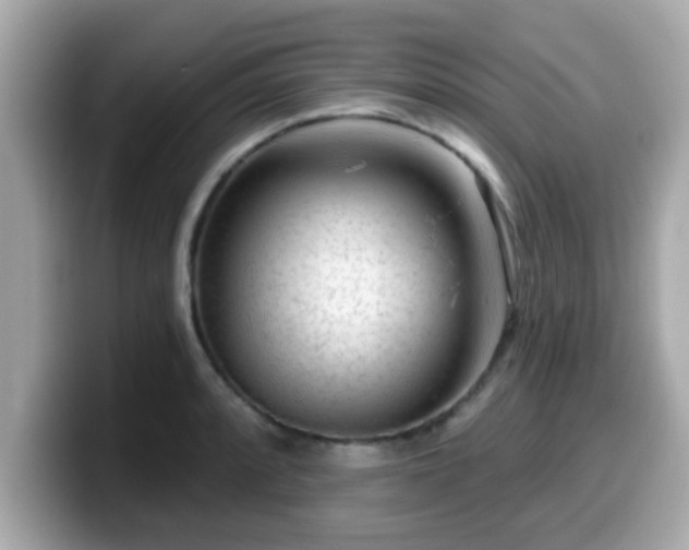 X0000099561088200805231507