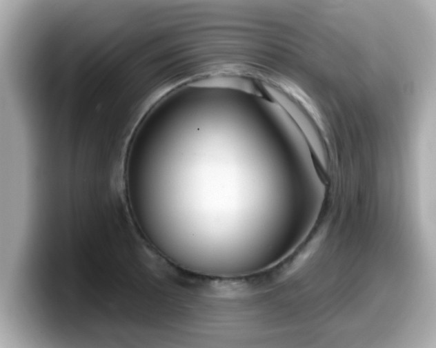 X0000099561089200805231507