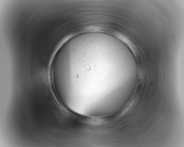 X0000099561090200805231507