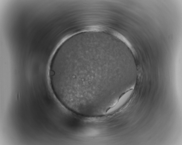 X0000099561091200805231507