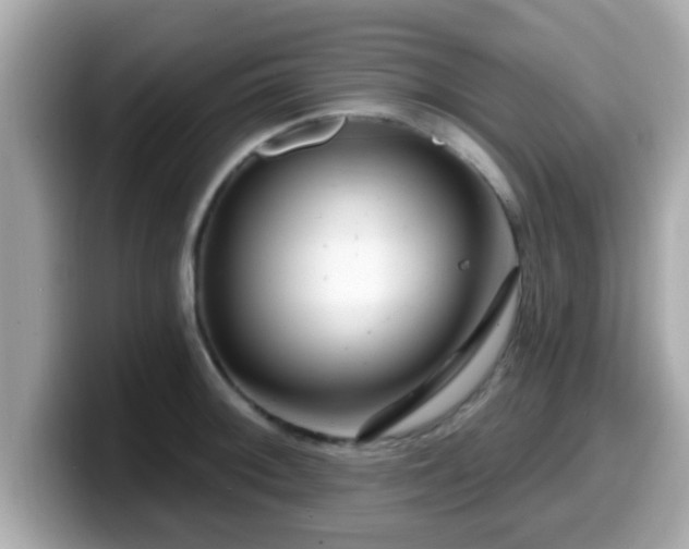 X0000099561092200805231507