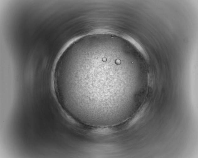 X0000099561094200805231507