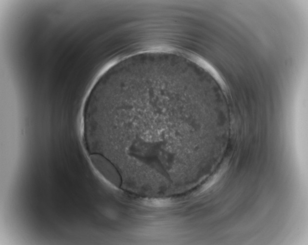 X0000099561095200805231507