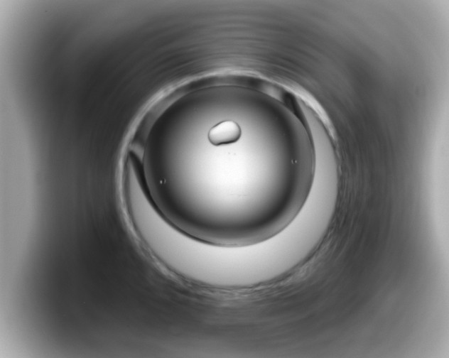 X0000099561096200805231507