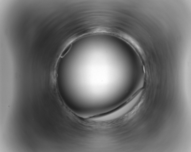 X0000099561097200805231507