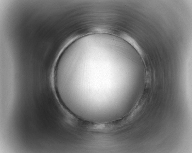 X0000099561098200805231507