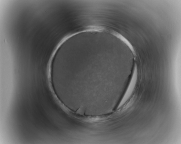 X0000099561099200805231507