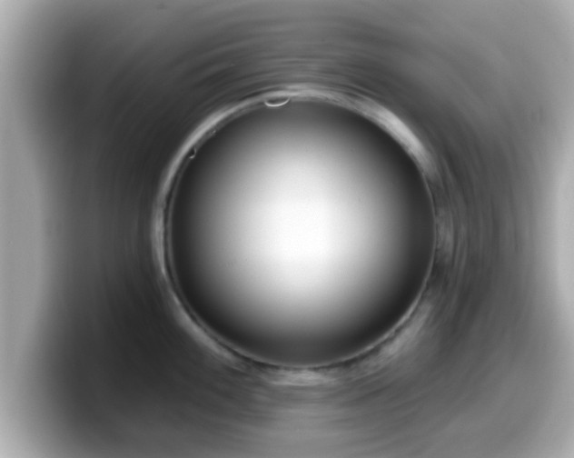 X0000099561100200805231507