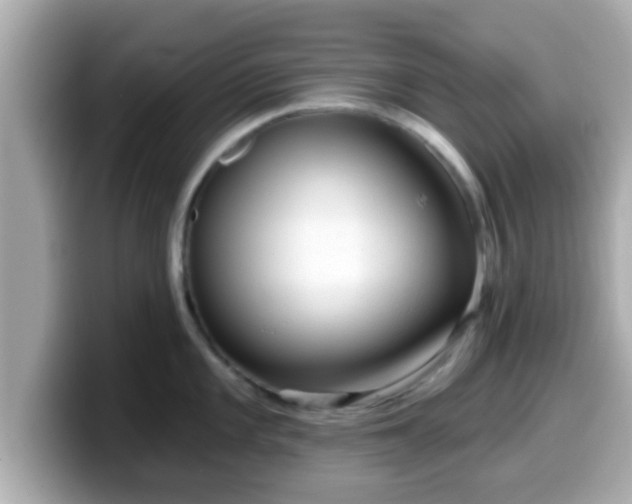 X0000099561101200805231507