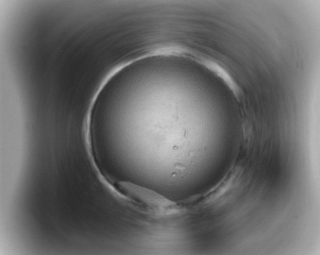 X0000099561103200805231507