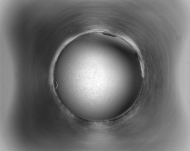 X0000099561104200805231507