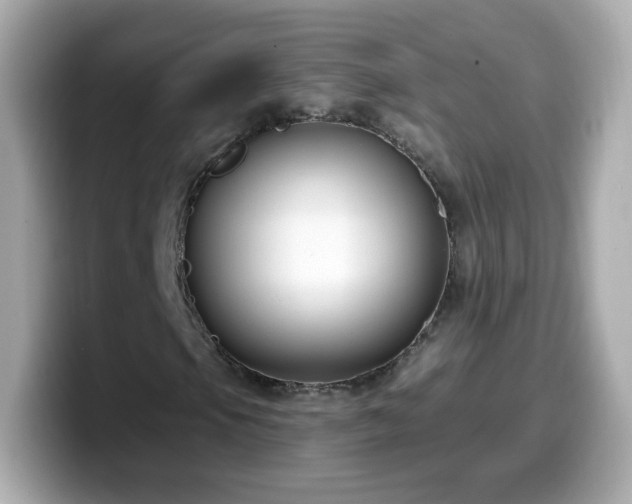 X0000099561105200805231507