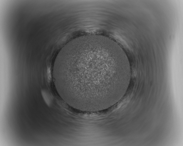 X0000099561106200805231507