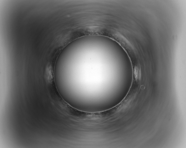 X0000099561107200805231507