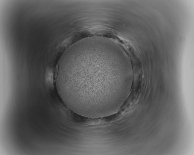 X0000099561108200805231507