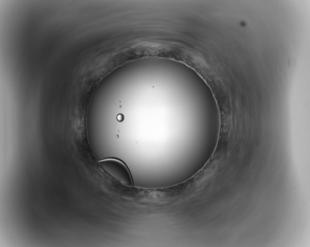 X0000099561109200805231507