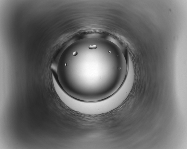 X0000099561110200805231507