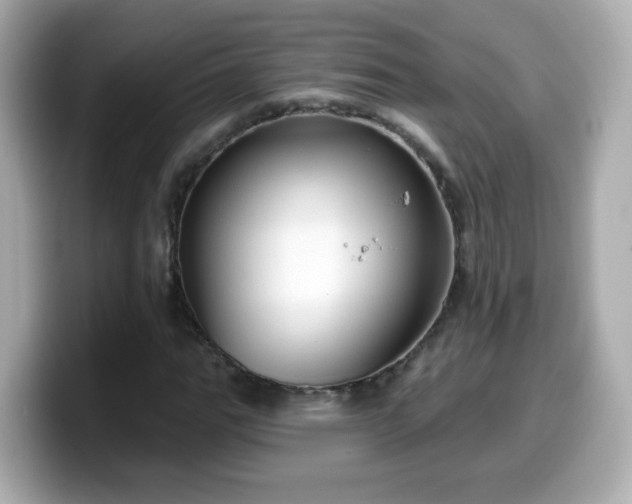 X0000099561111200805231507