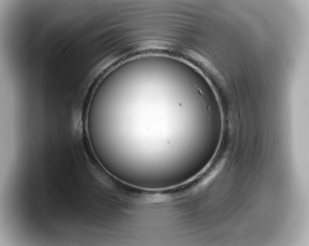 X0000099561113200805231507