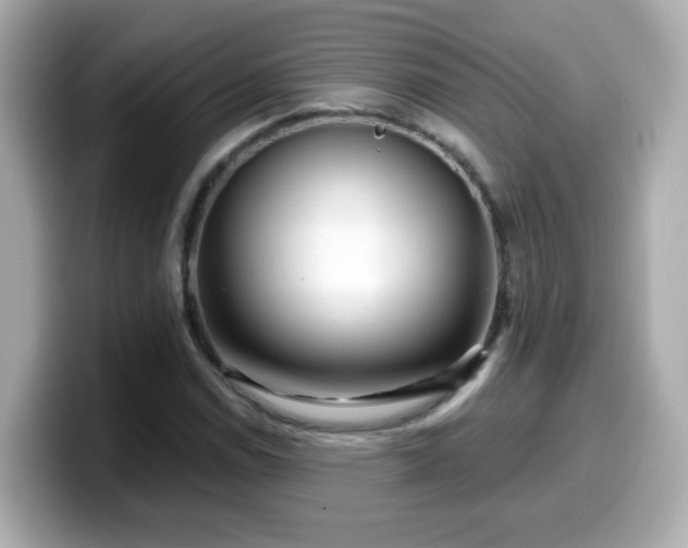 X0000099561114200805231507