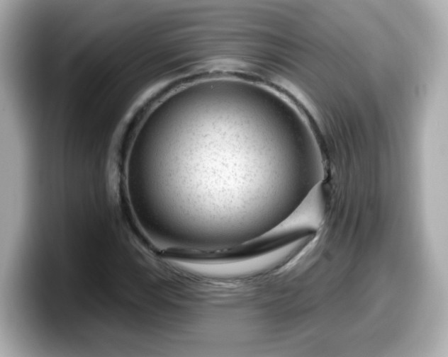 X0000099561115200805231507