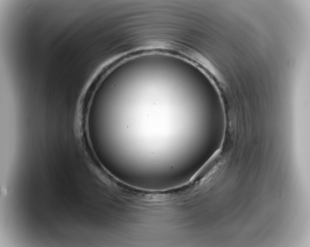 X0000099561116200805231507