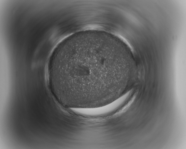 X0000099561117200805231507