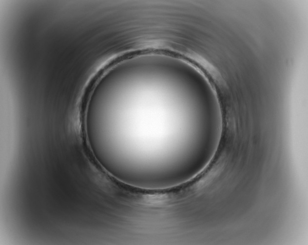 X0000099561118200805231507