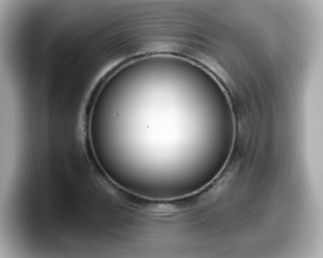 X0000099561119200805231507