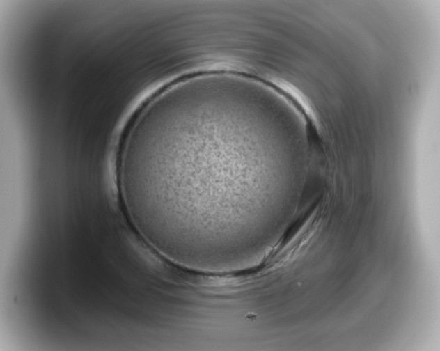 X0000099561120200805231507