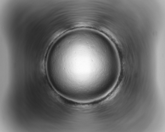 X0000099561121200805231507