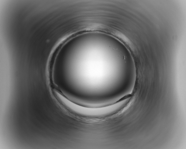 X0000099561122200805231507