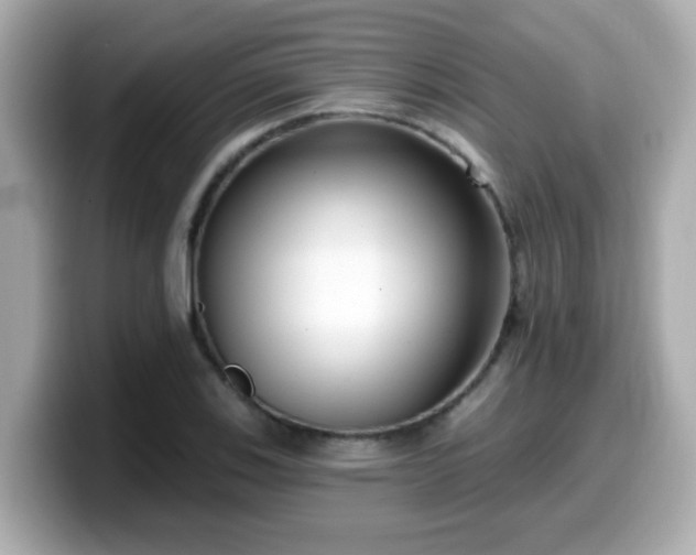 X0000099561123200805231507