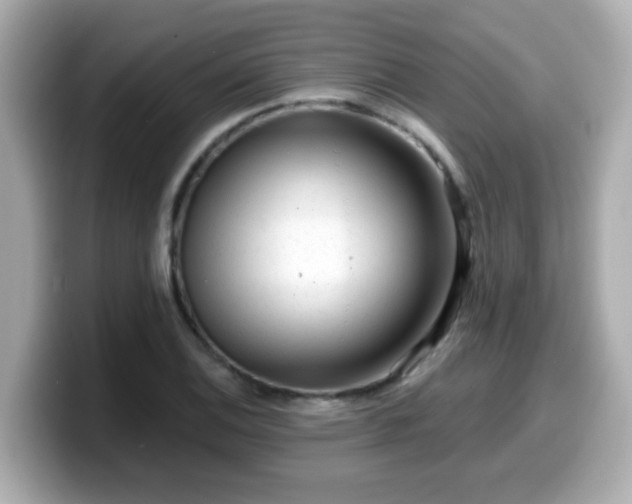 X0000099561124200805231507