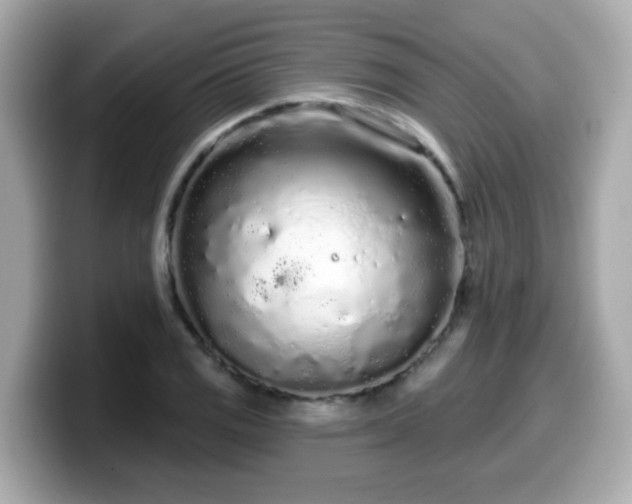 X0000099561125200805231507