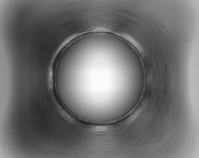 X0000099561126200805231507