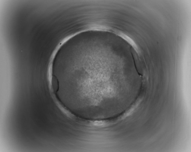 X0000099561128200805231507