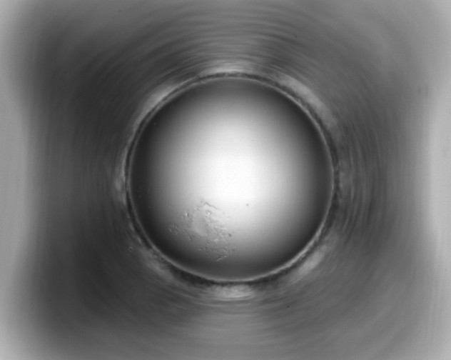 X0000099561129200805231507