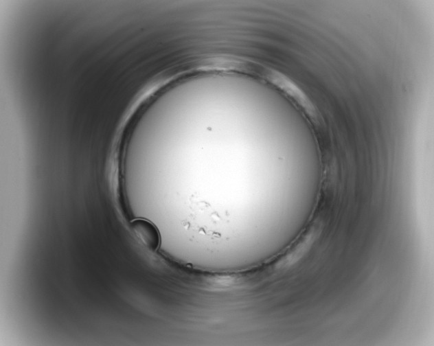 X0000099561130200805231507